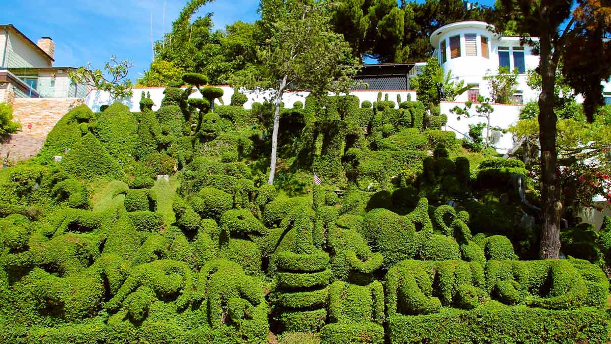 ground view of Harper's Topiary Garden with various sculpted bushes on sunny day in San Diego, California, USA